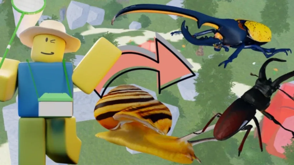 Active Find the Insects Codes