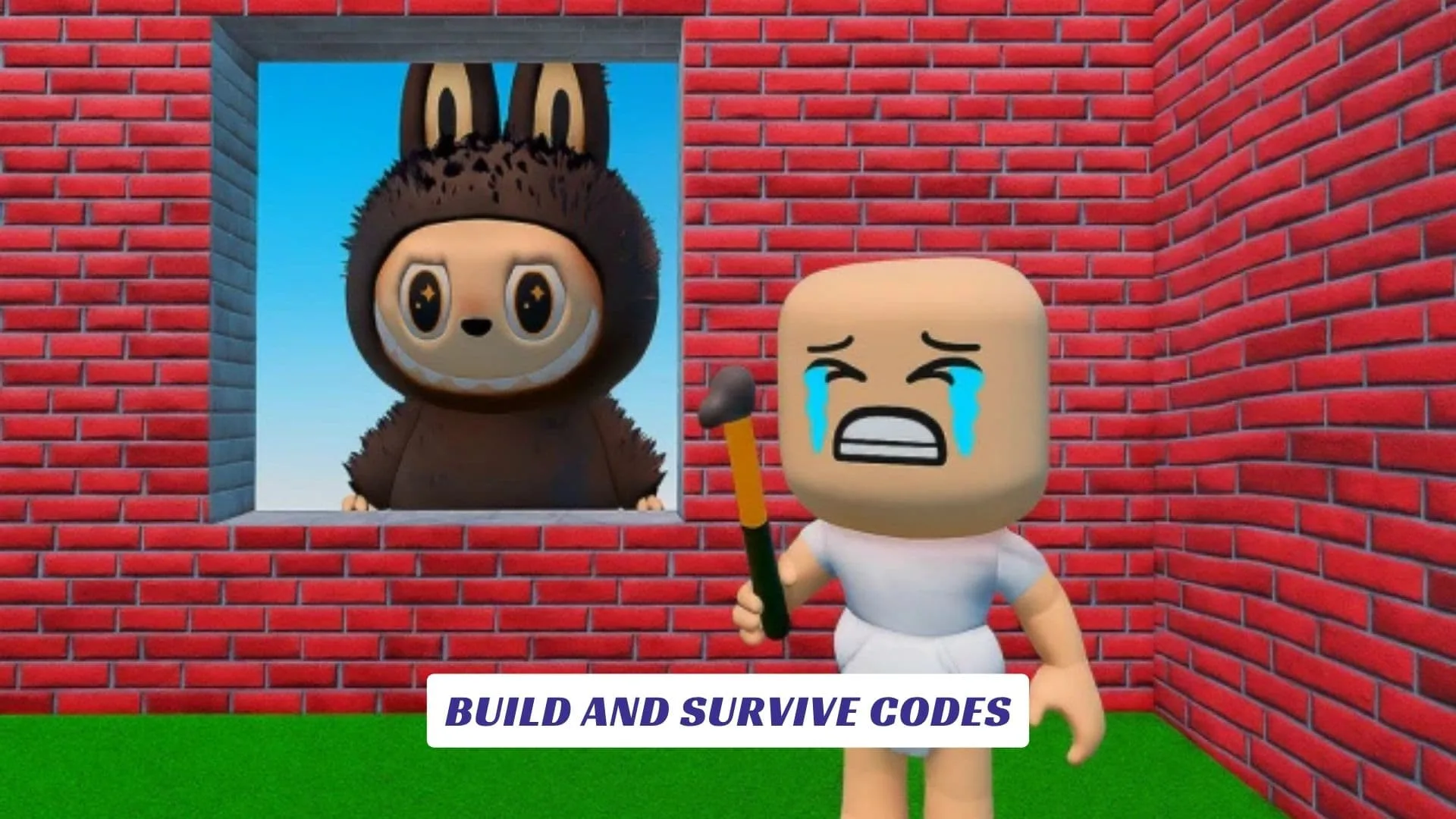 Build and Survive Codes