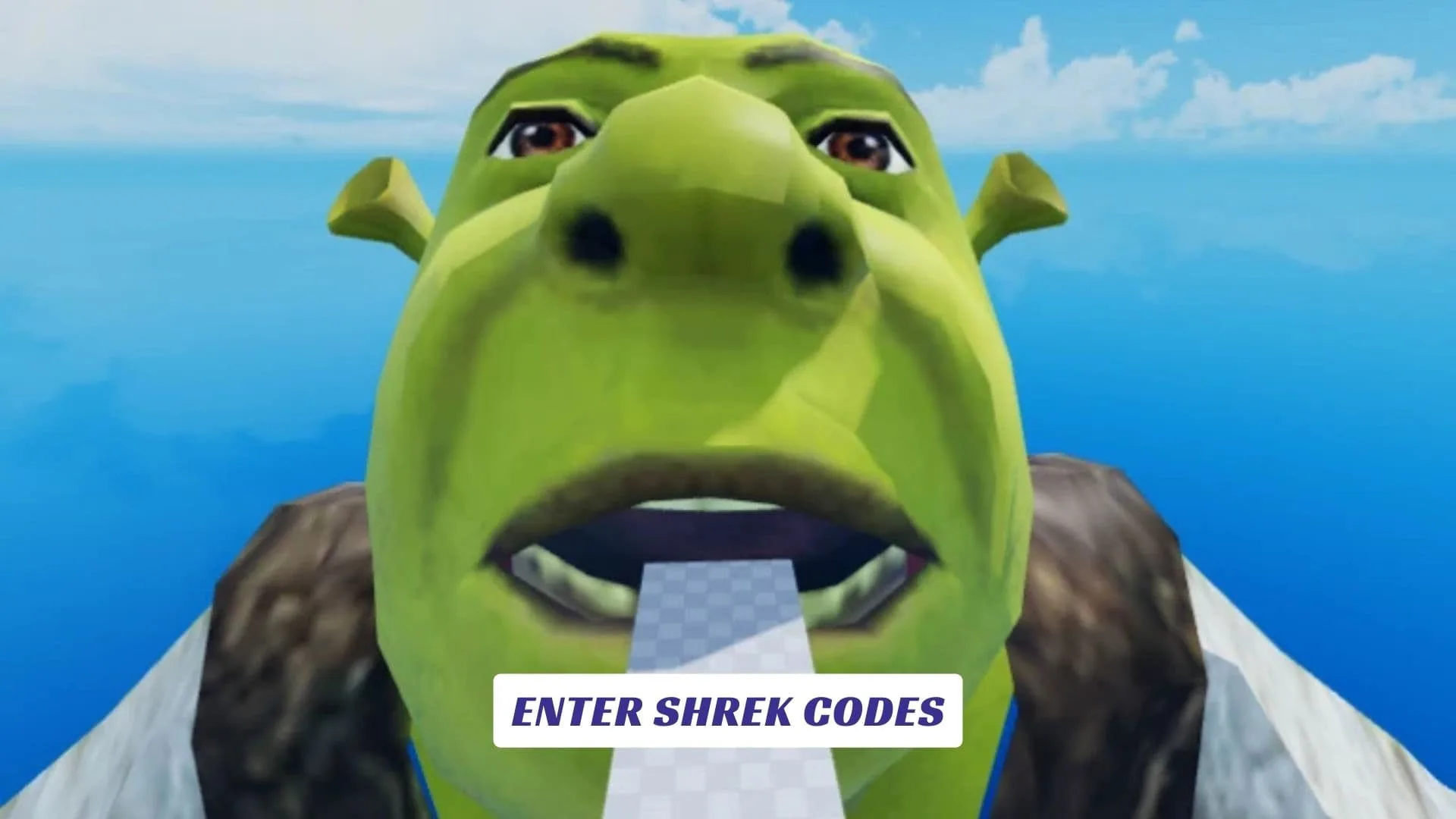 Enter Shrek Codes Enter Shrek Codes