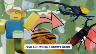 Find The Insects Script Guide