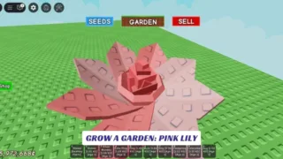 Grow a Garden Pink Lily