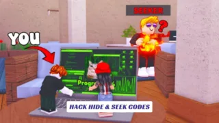 Hack Hide & Seek Codes