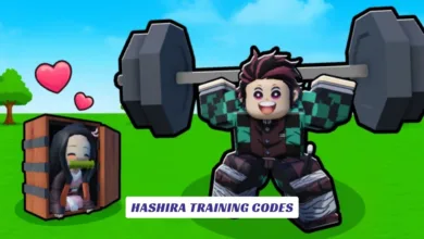 Hashira Training Codes