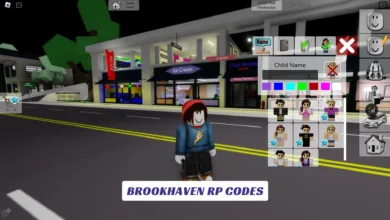 Brookhaven RP Codes