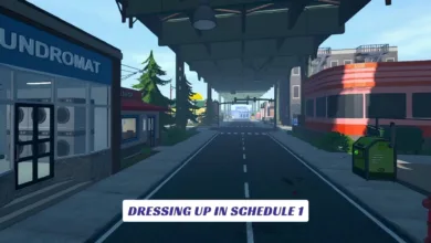 Dressing Up in Schedule 1