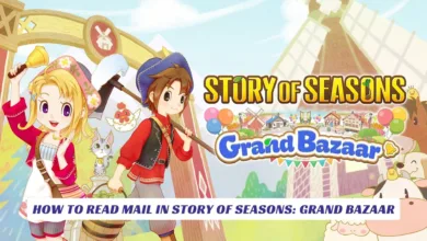 How to Read Mail in Story of Seasons Grand Bazaar