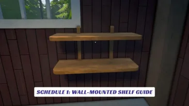 Schedule 1 Wall-Mounted Shelf Guide