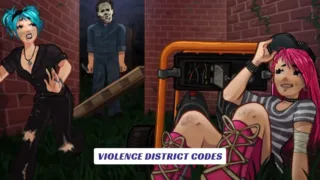 Violence District Codes