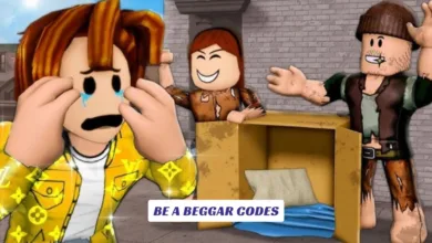 Be a Beggar Codes
