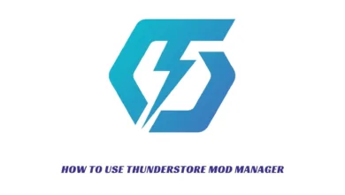 How To Use Thunderstore Mod Manager