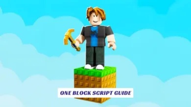 One Block Script Guide