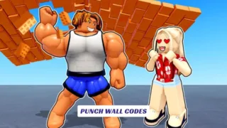 Punch Wall Codes