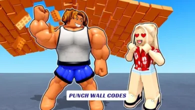 Punch Wall Codes