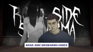 Road-Side Shawarma Codes 3 Road-Side Shawarma Codes