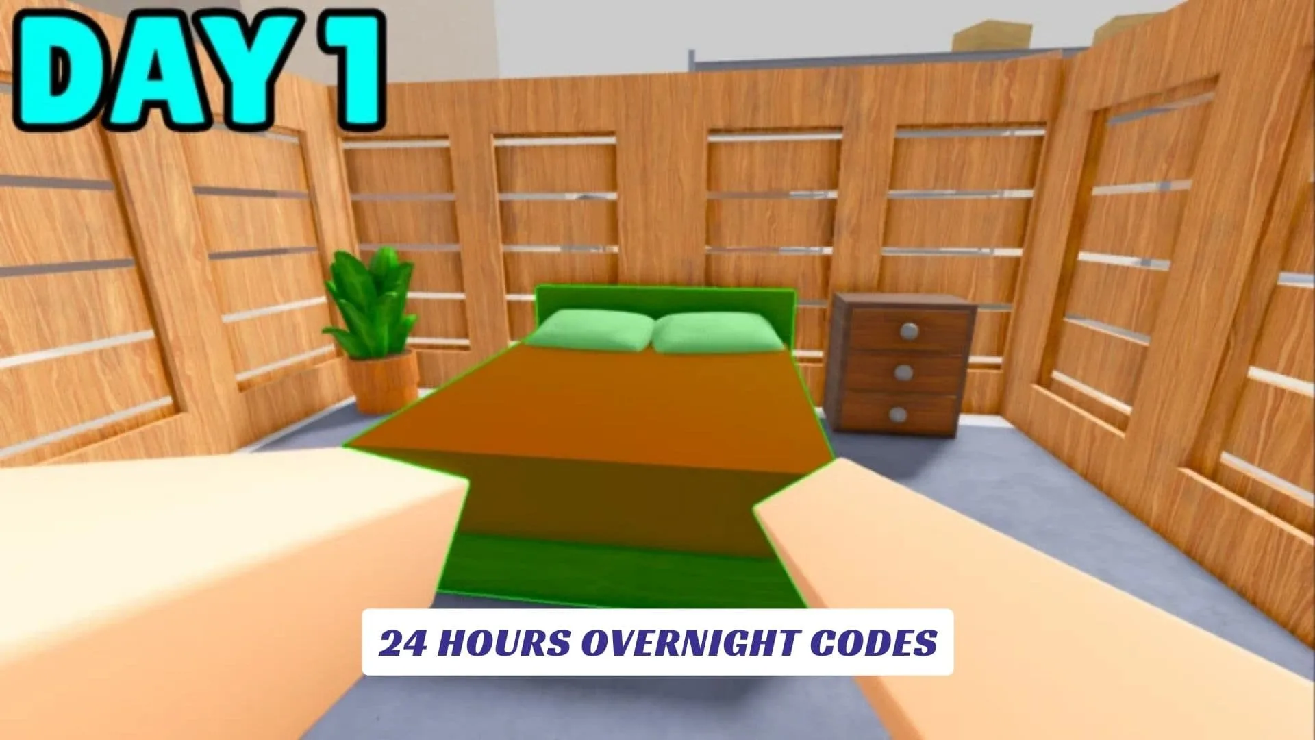 24 Hours Overnight Codes 24 Hours Overnight Codes