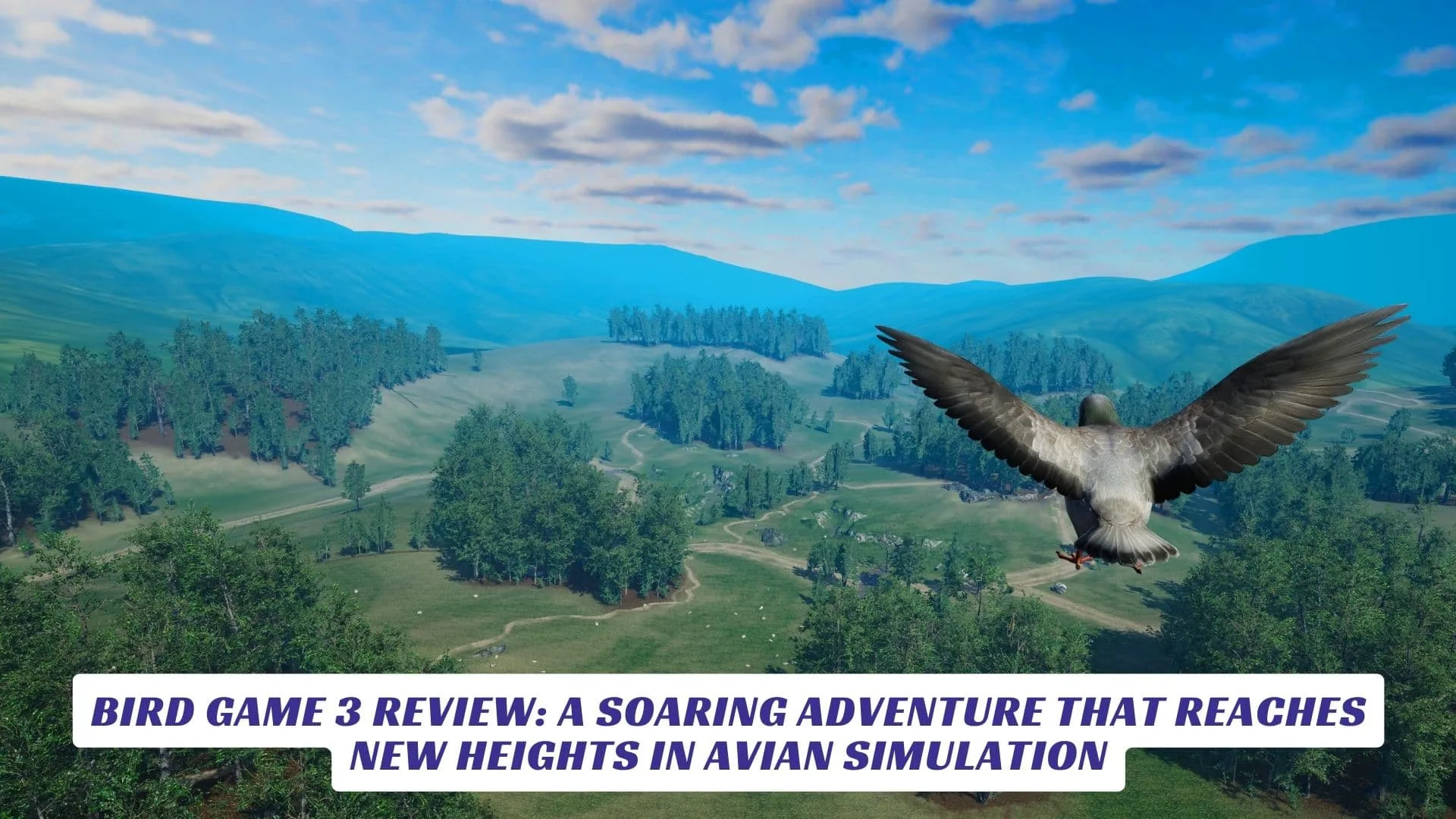 Bird Game 3 Review: A Soaring Adventure That Reaches New Heights in Avian Simulation Bird Game 3 Review A Soaring Adventure That Reaches New Heights in Avian Simulation