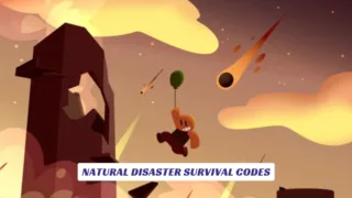 Natural Disaster Survival Codes