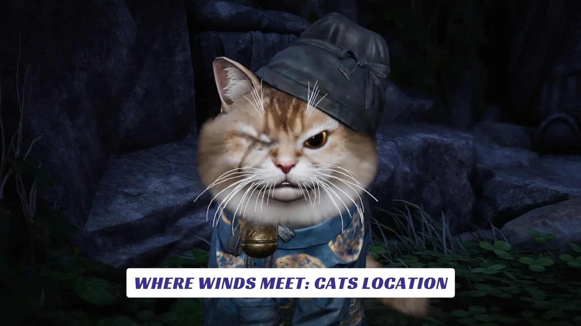 Where Winds Meet Cats Location