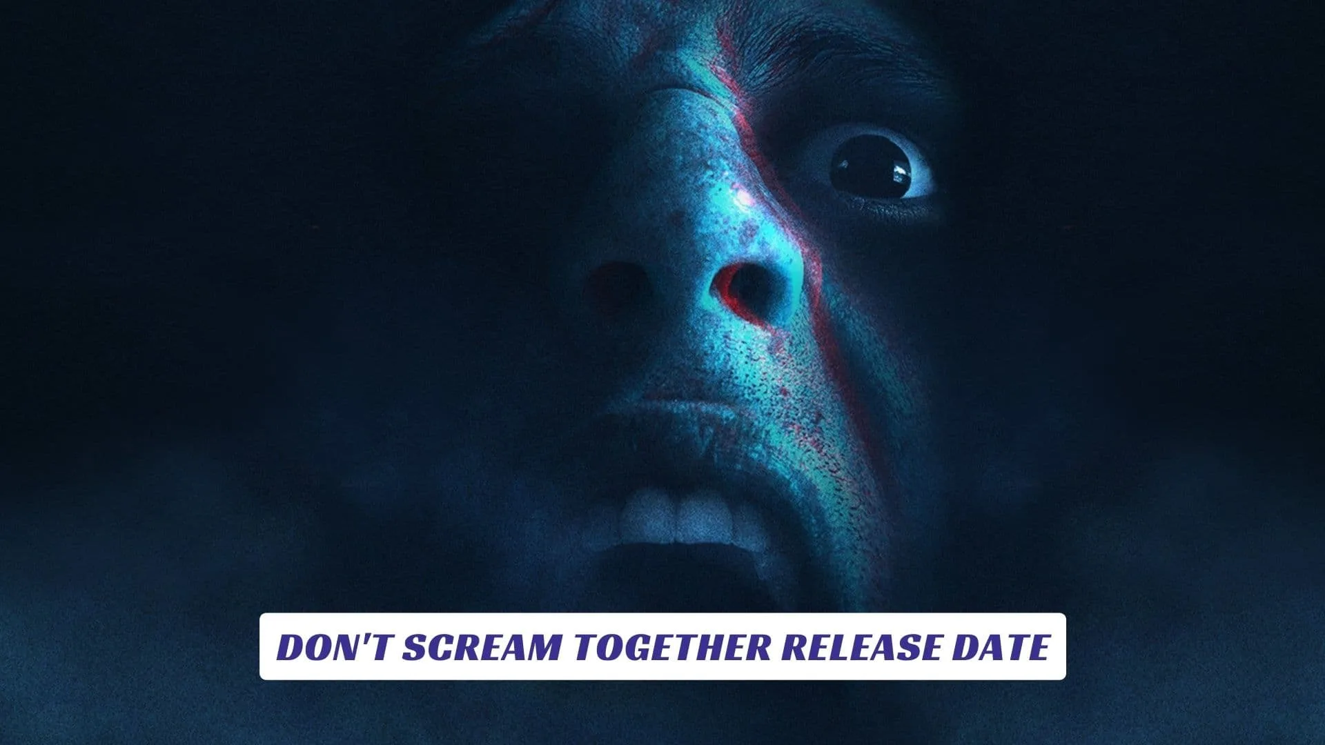Don't Scream Together Release Date