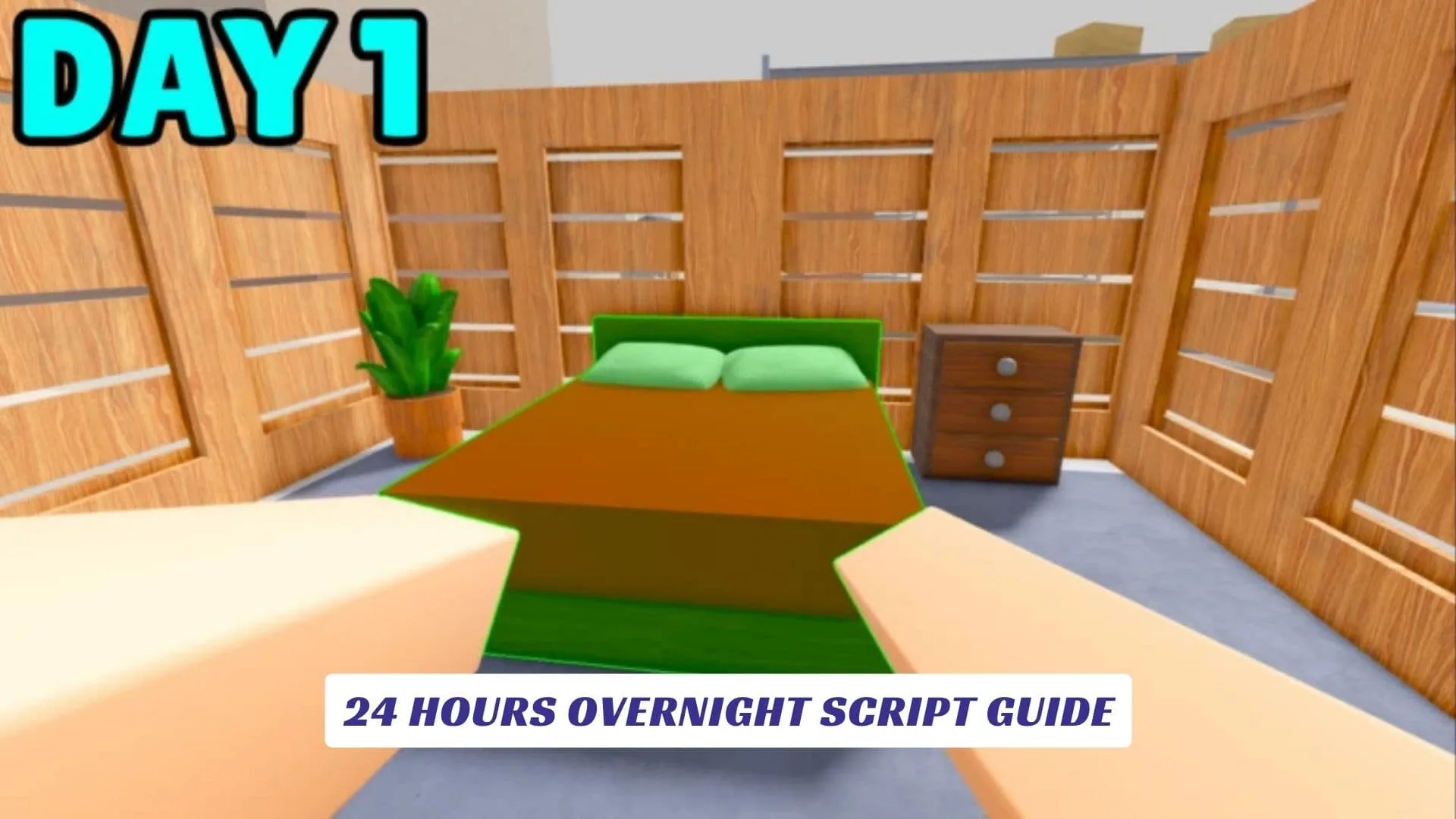 24 Hours Overnight Script Guide