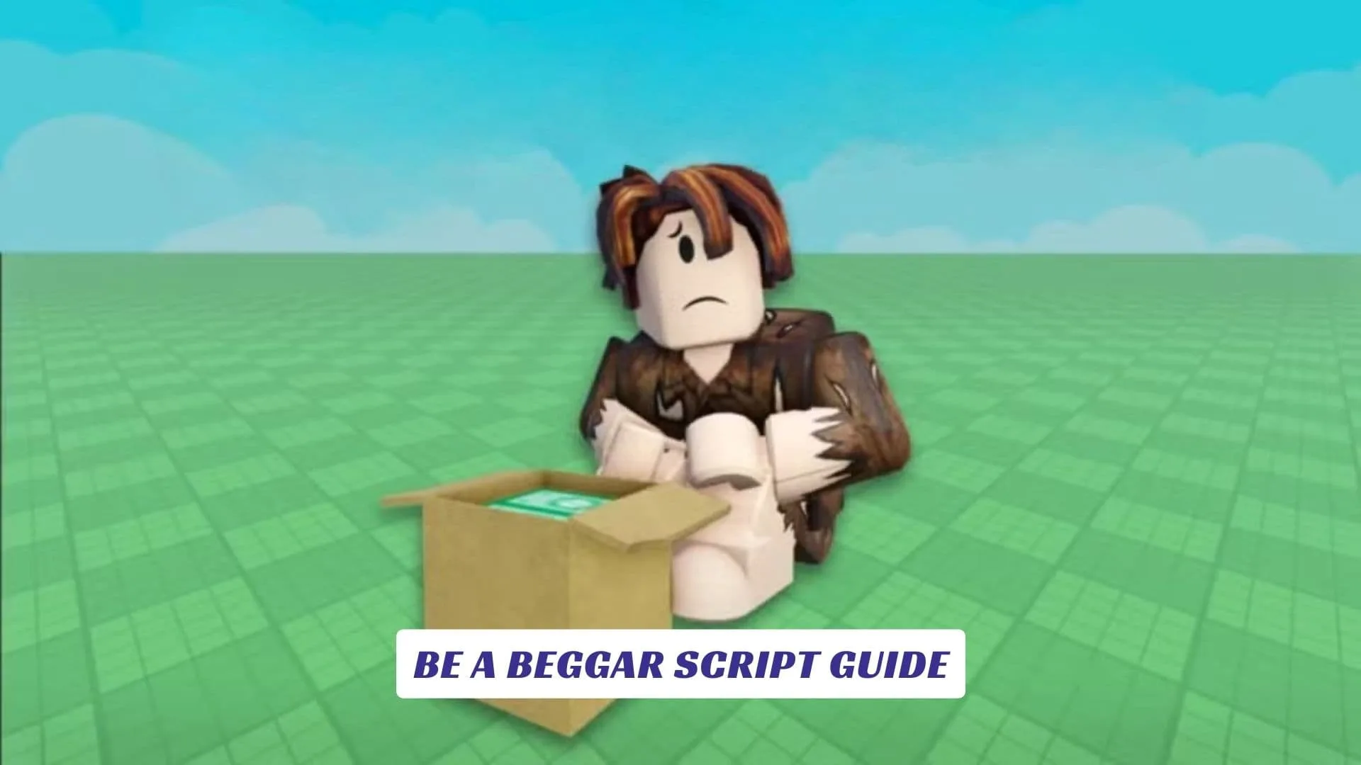 Be a Beggar Script Guide