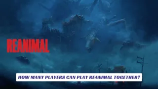 How Many Players Can Play Reanimal Together