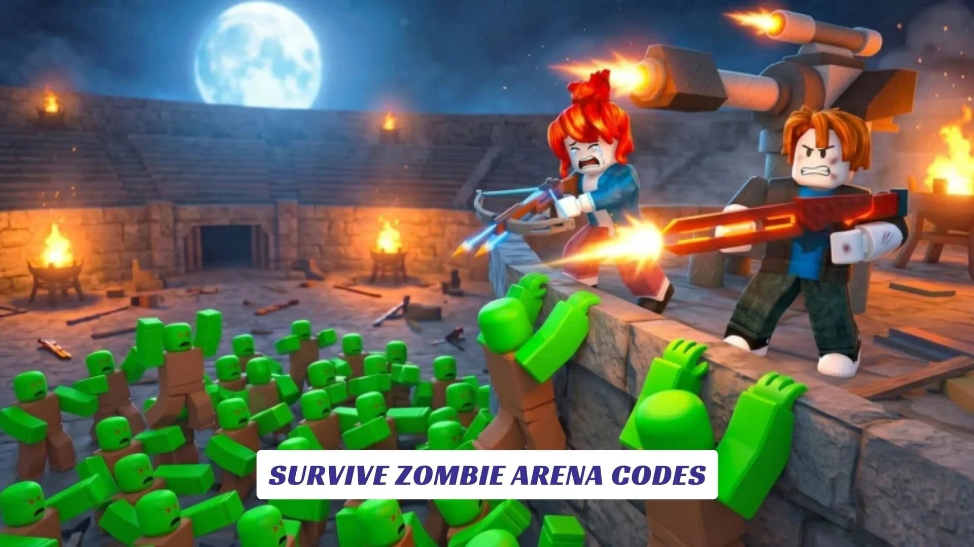 Survive Zombie Arena Codes