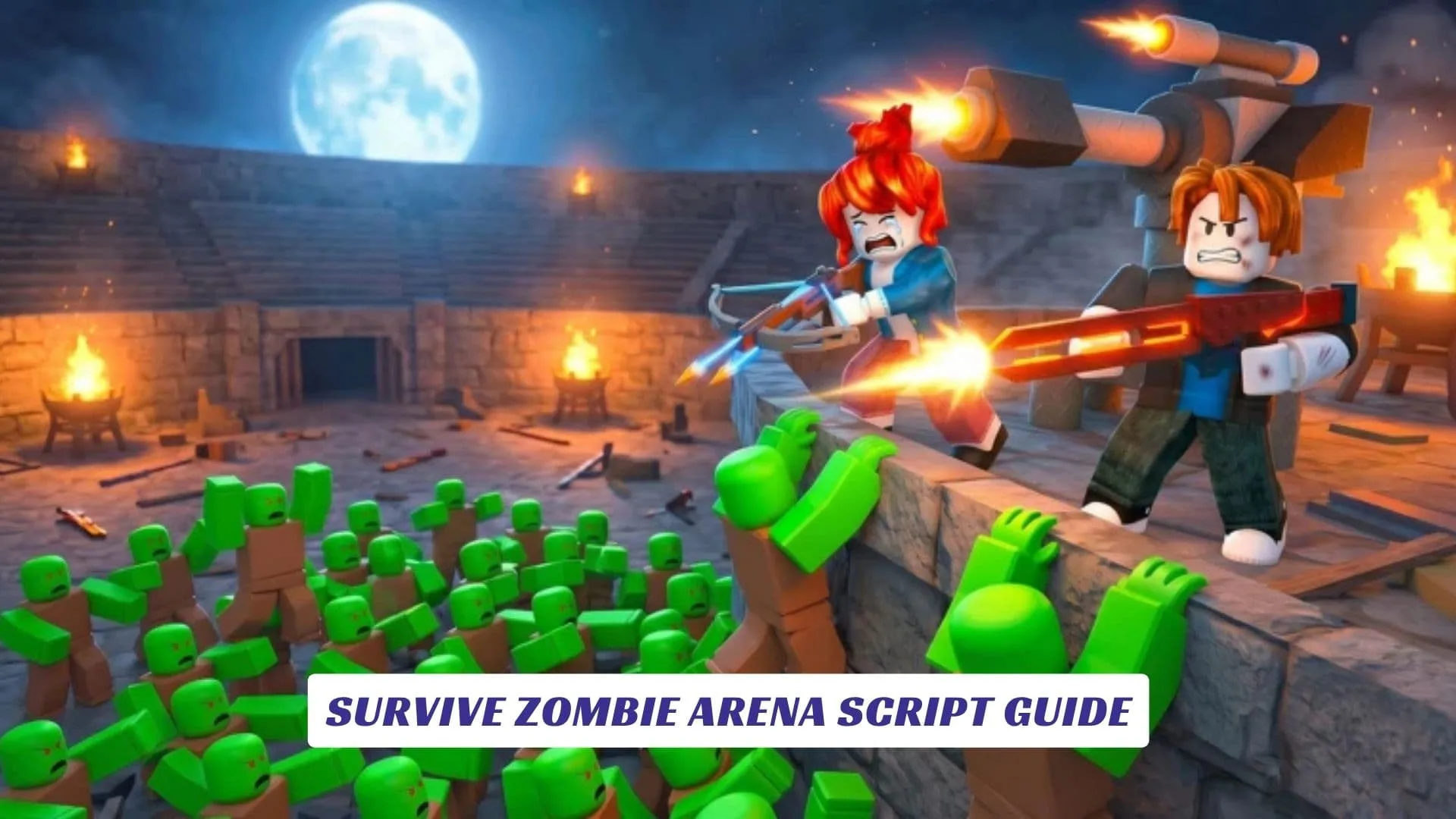 Survive Zombie Arena Script Guide