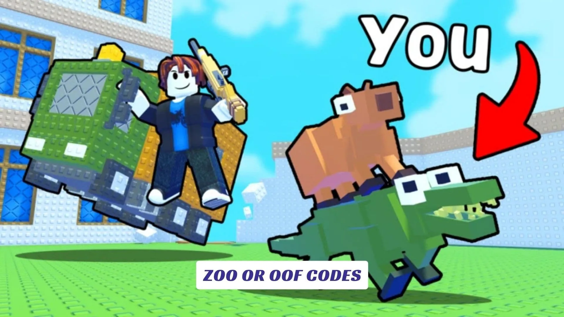 ZOO or OOF Codes ZOO or OOF Codes