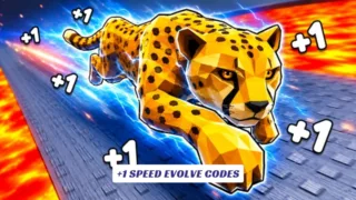 +1 Speed Evolve Codes