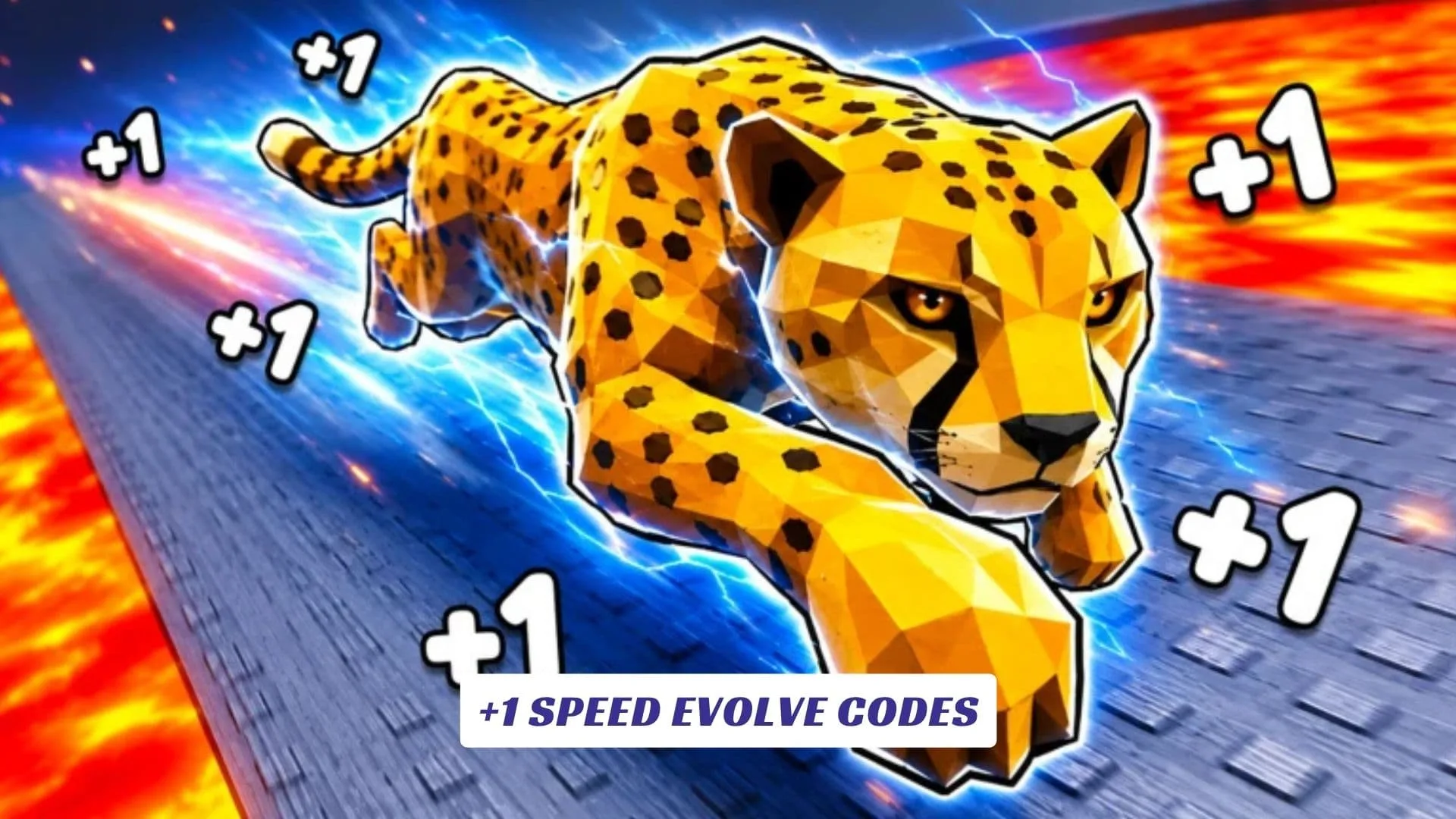 +1 Speed Evolve Codes