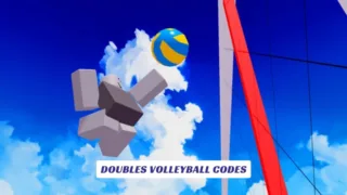 DOUBLES VOLLEYBALL Codes