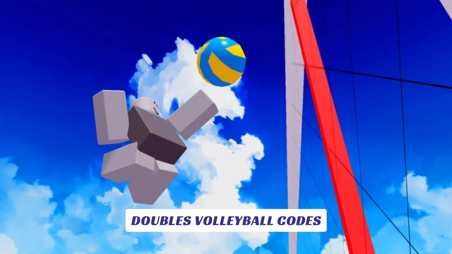 DOUBLES VOLLEYBALL Codes 8 DOUBLES VOLLEYBALL Codes