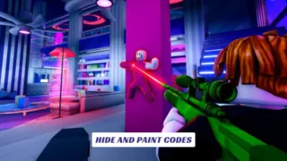 Hide and Paint Codes