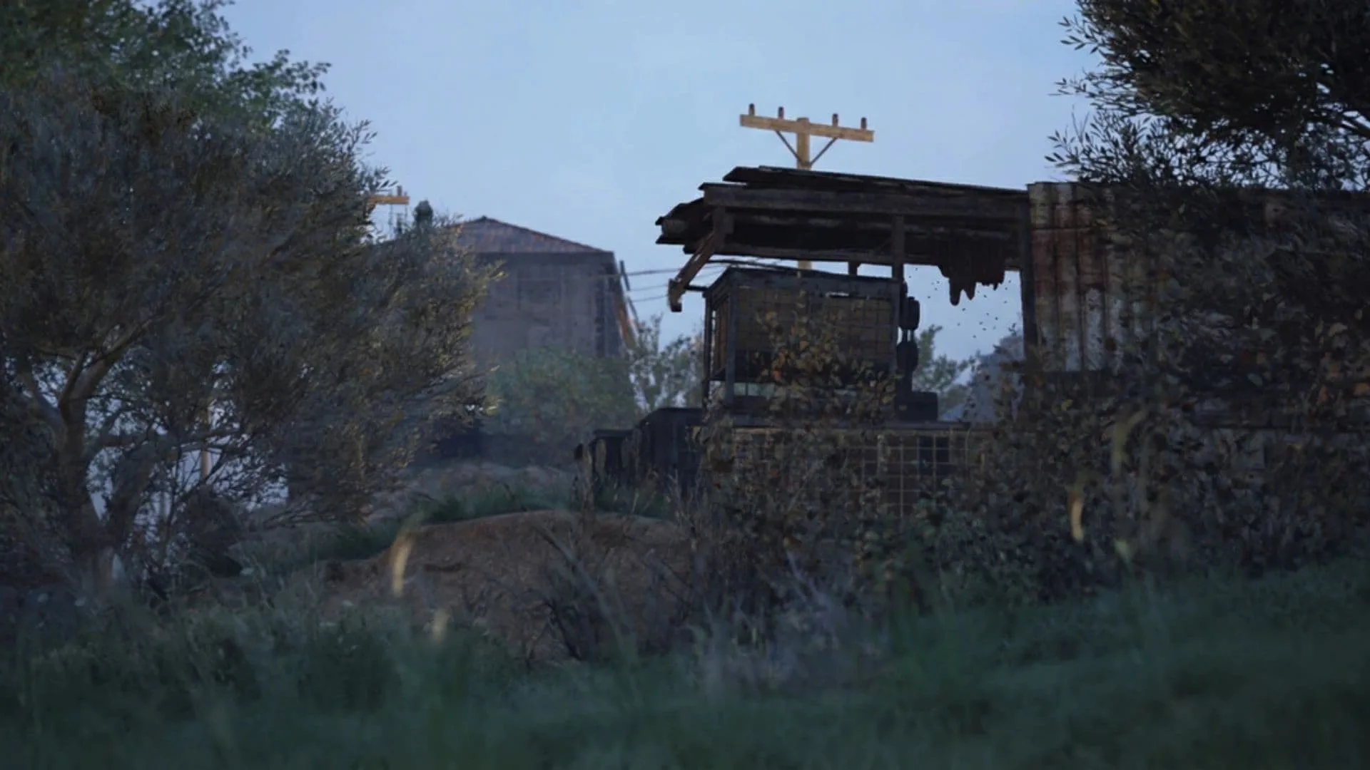 Step-By-Step Walkthrough For The Bees Quest