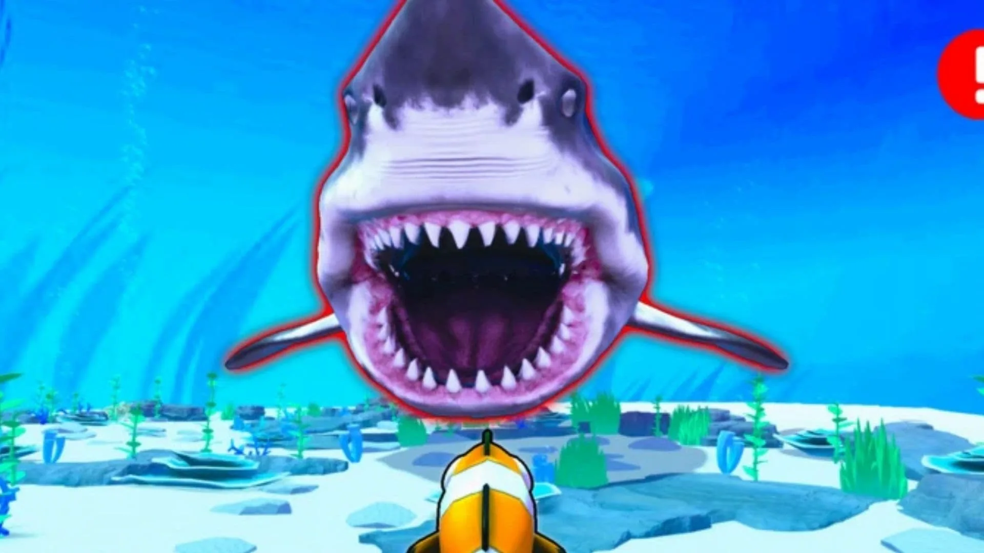 Be Fish Codes 1 What Is Be Fish
