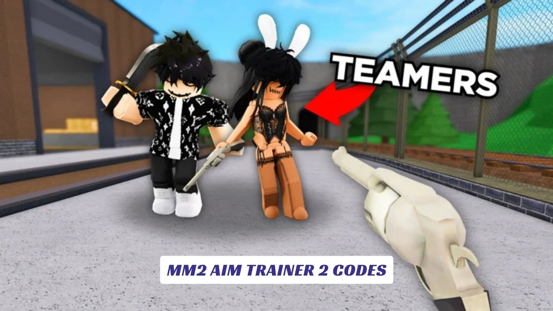 MM2 Aim Trainer 2 Codes MM2 Aim Trainer 2 Codes