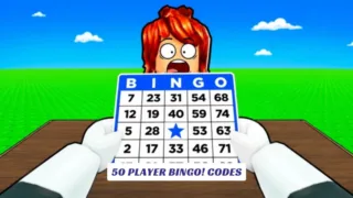 50 Player BINGO Codes