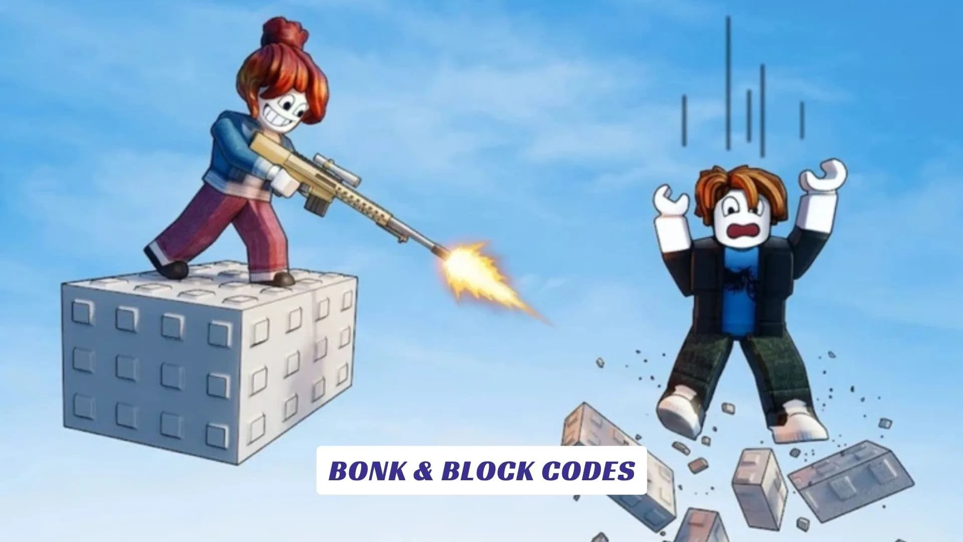 Bonk & Block Codes Bonk & Block Codes