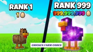 Chicken Farm Codes