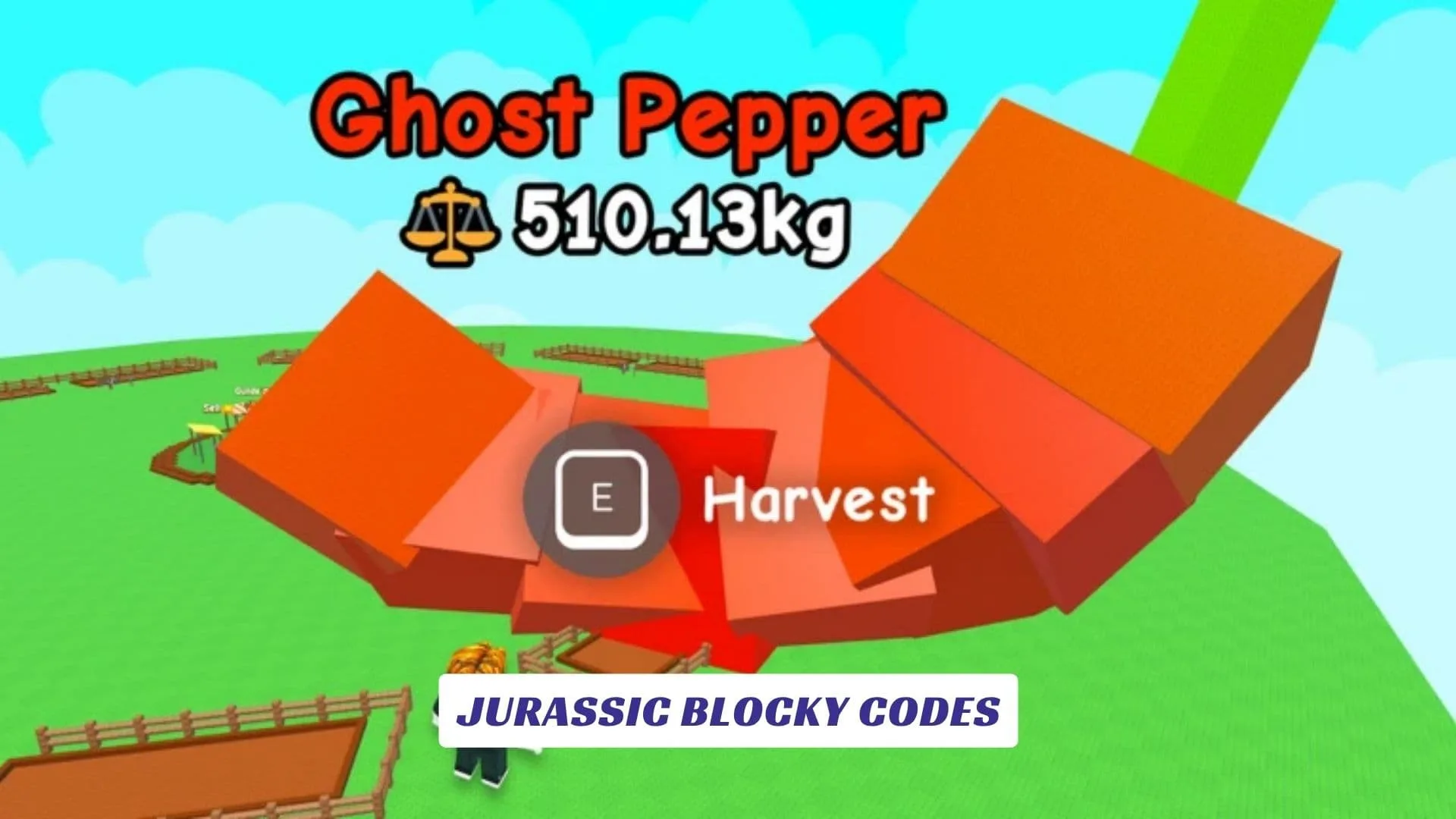 Jurassic Blocky Codes Jurassic Blocky Codes