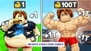 Muscle Evolution Codes