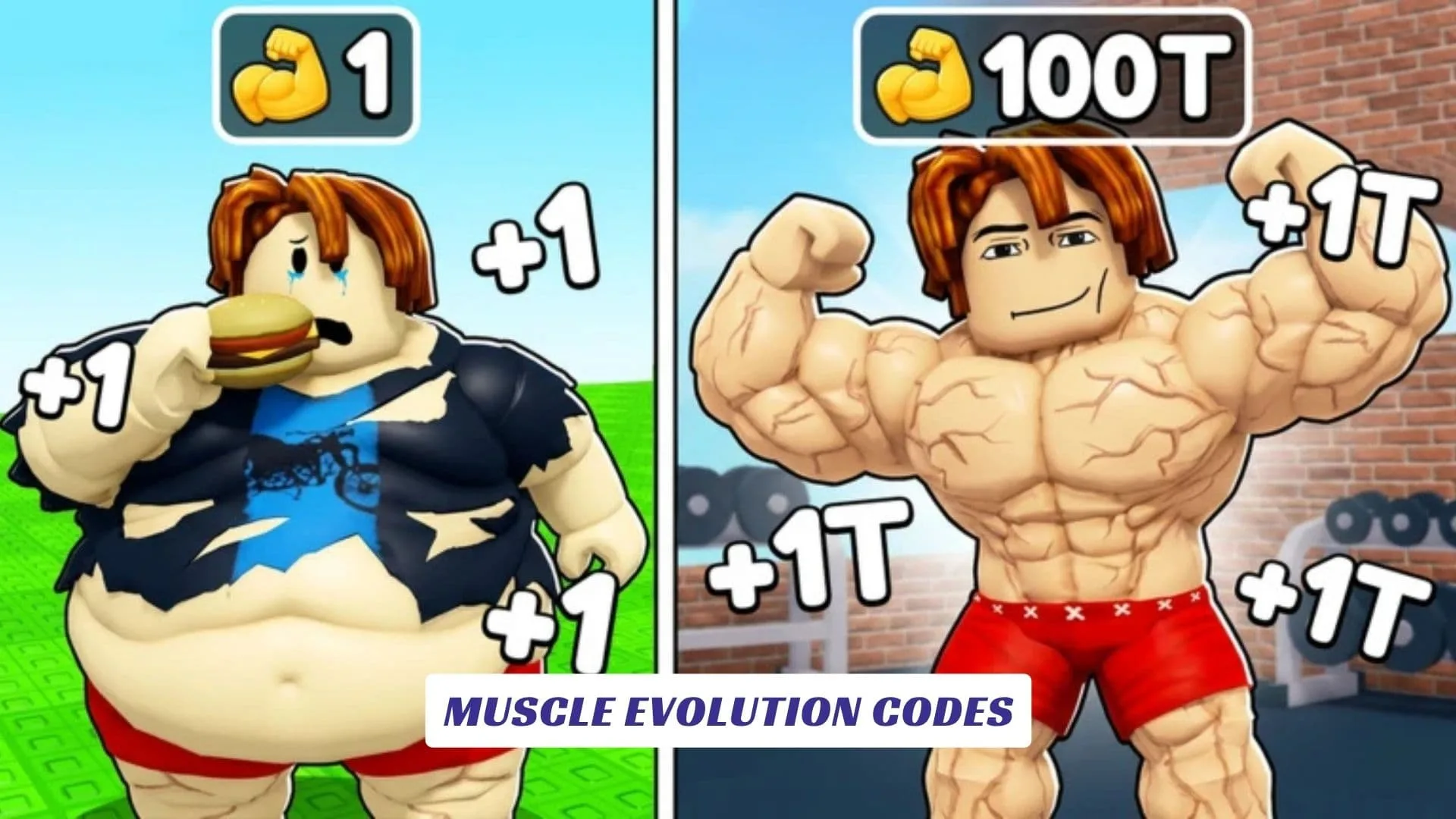 Muscle Evolution Codes Muscle Evolution Codes