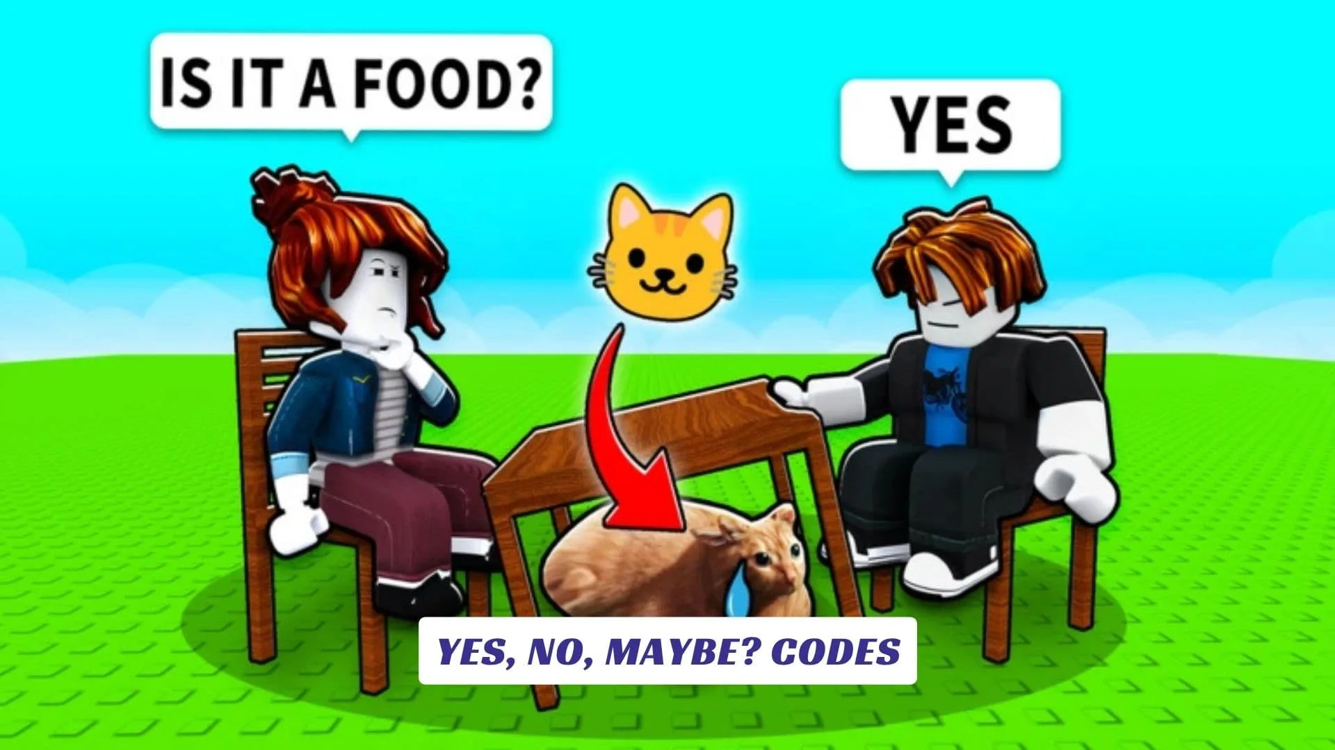 Yes, No, Maybe? Codes Yes, No, Maybe Codes