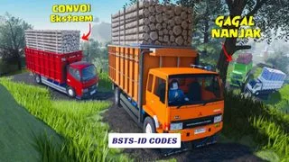 BSTS-ID Codes