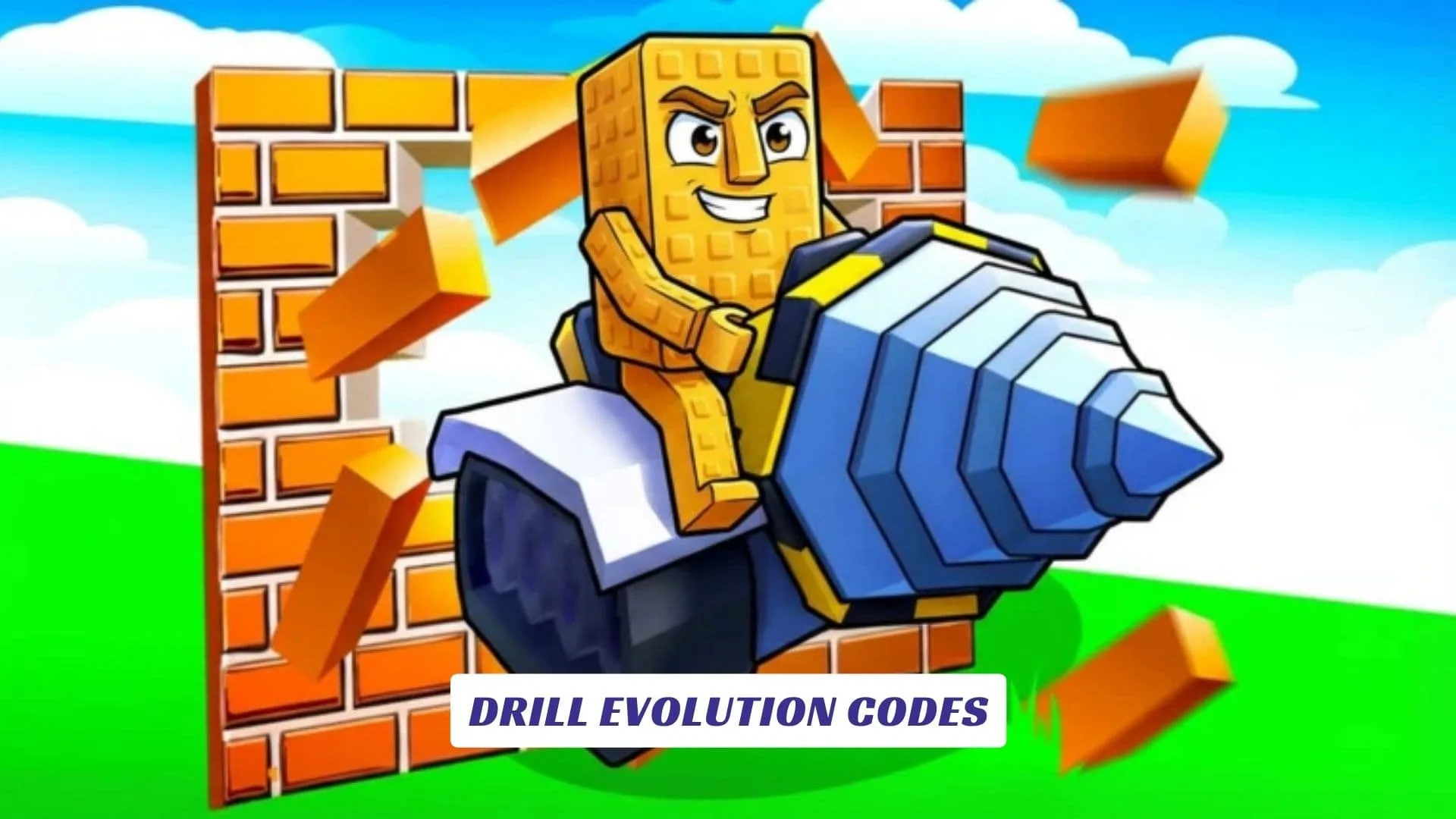 Drill Evolution Codes Drill Evolution Codes