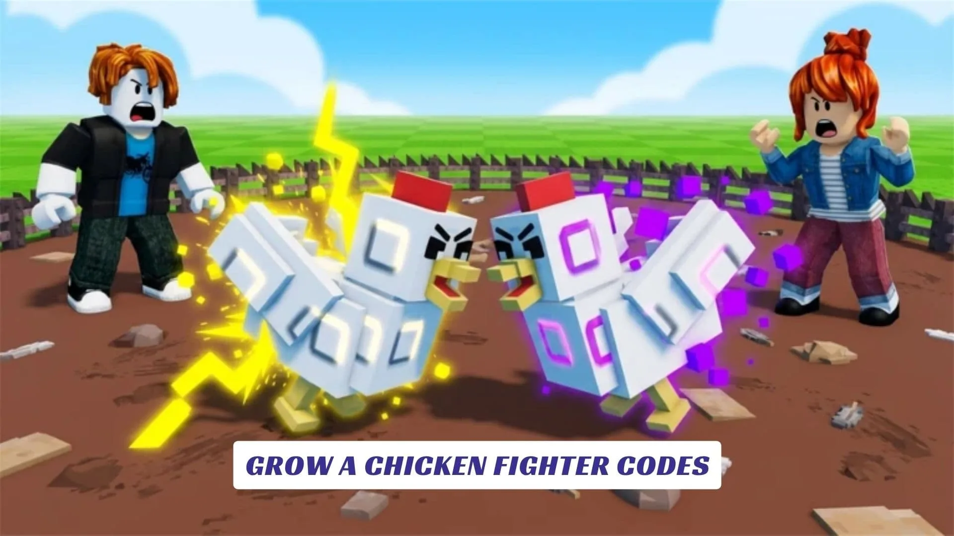 Grow A Chicken Fighter Codes Grow A Chicken Fighter Codes
