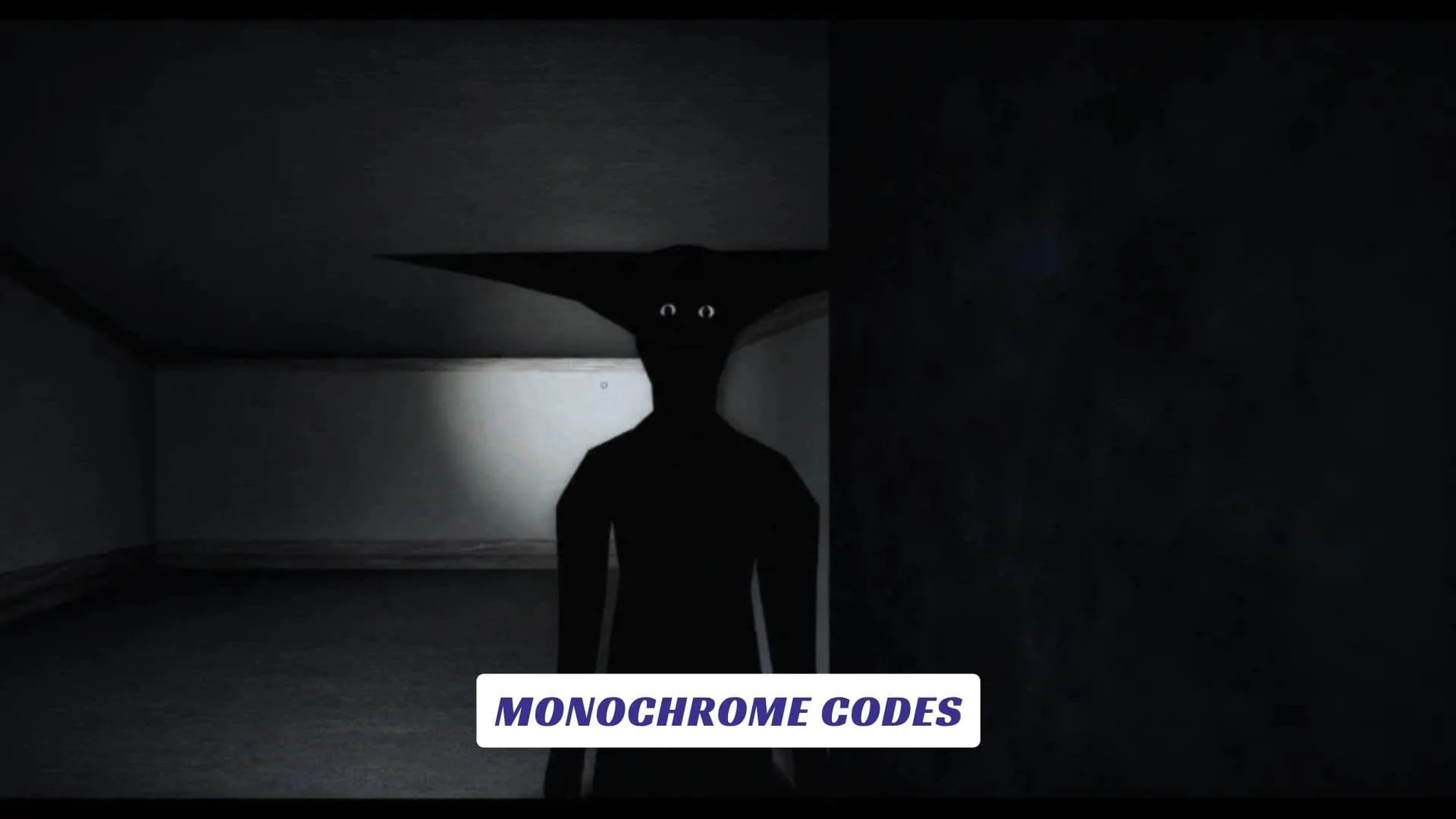 MONOCHROME Codes MONOCHROME Codes