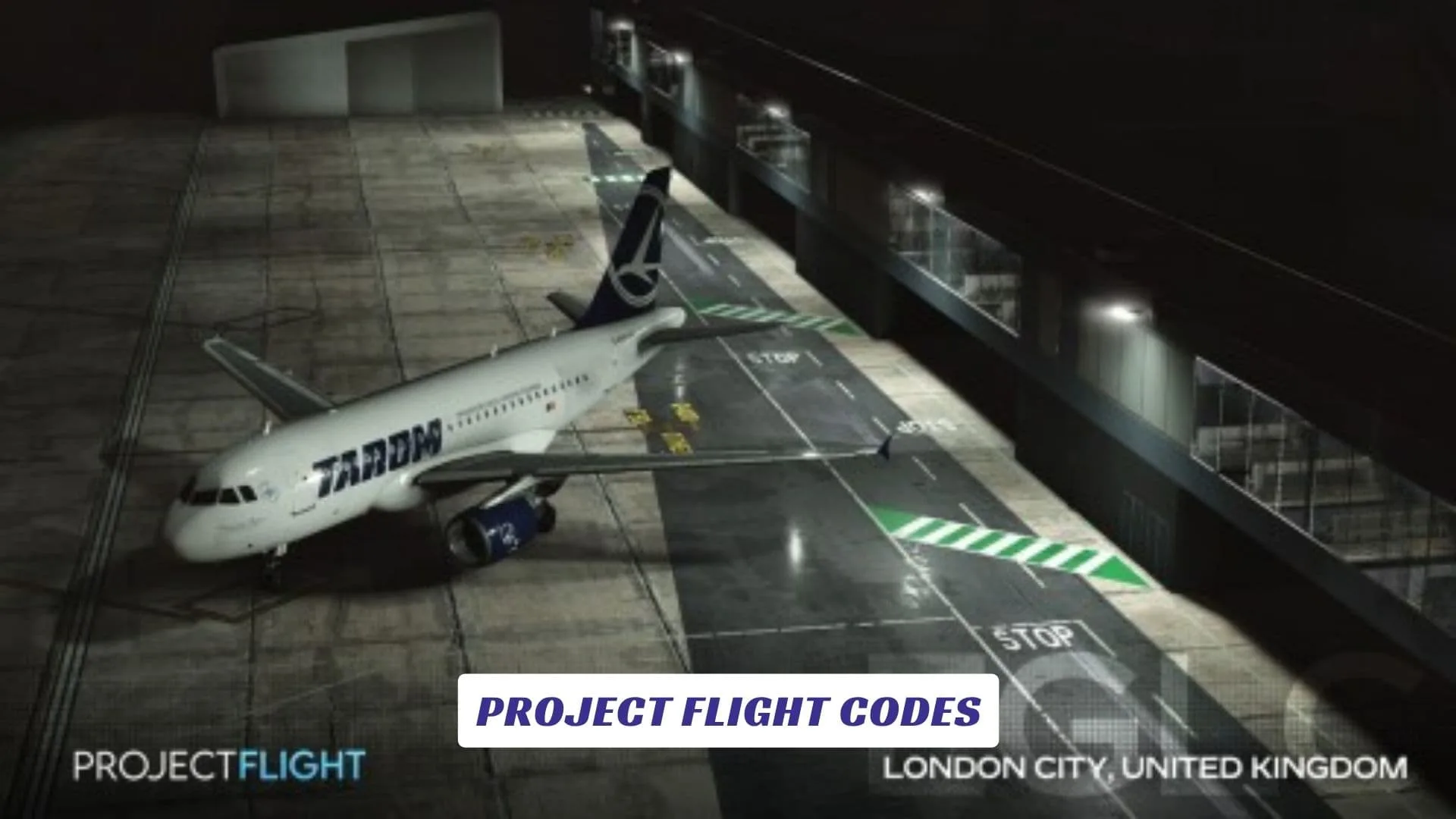 Project Flight Codes Project Flight Codes