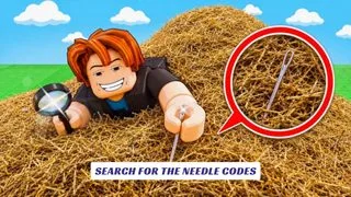 Search For The Needle Codes 2 Search For The Needle Codes